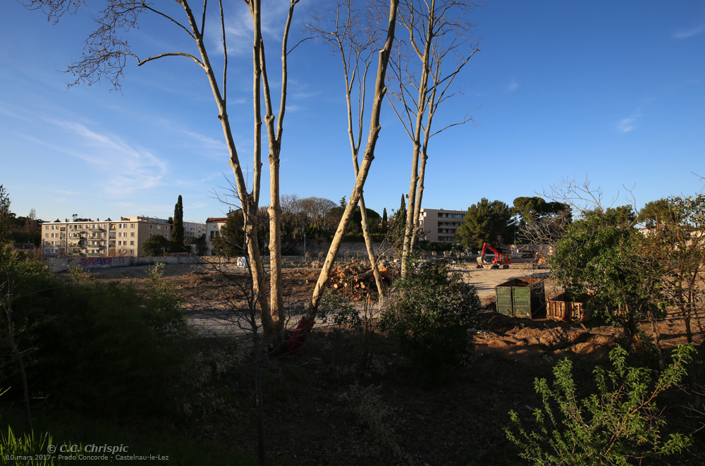 http://www.chrispics.fr/castelnaulelez/chcastelnau1592.jpg