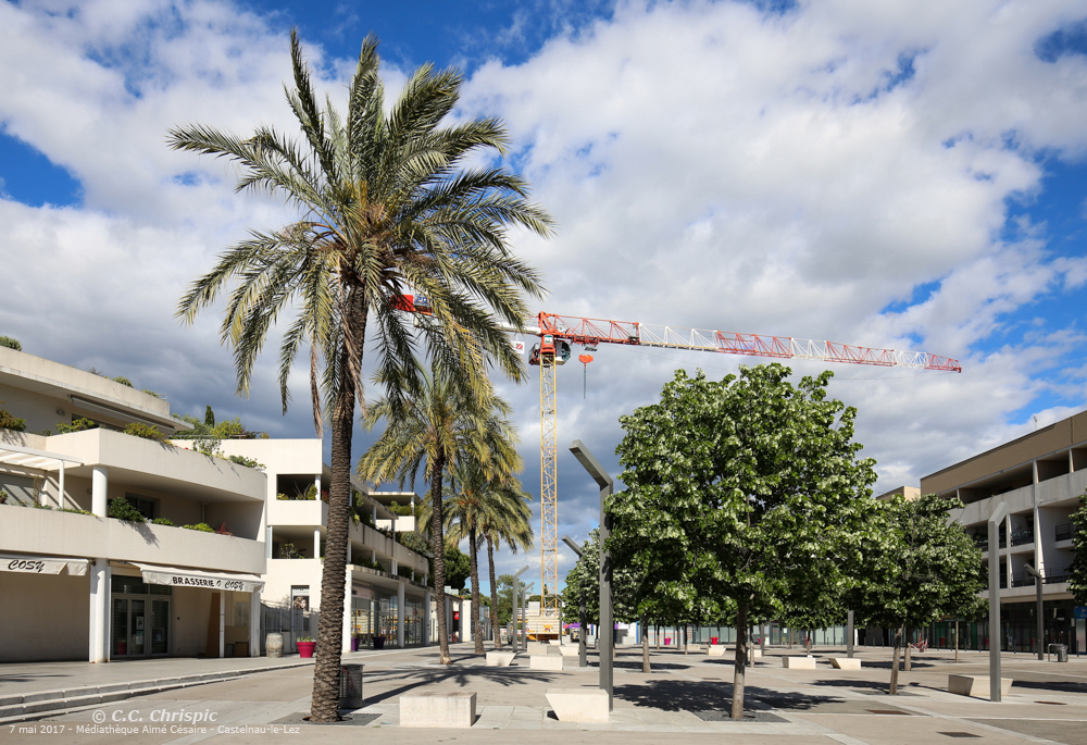 http://www.chrispics.fr/castelnaulelez/chcastelnau1604.jpg