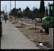 http://www.chrispics.fr/montpelliersepties/chmon11881p.jpg