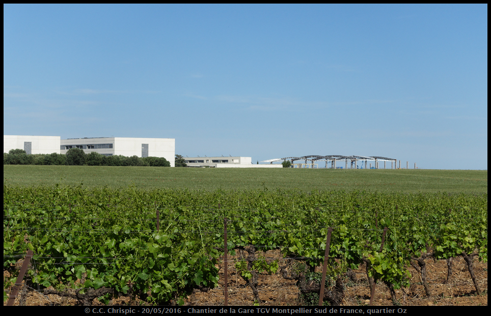 http://www.chrispics.fr/montpelliersepties/chmon13345.jpg