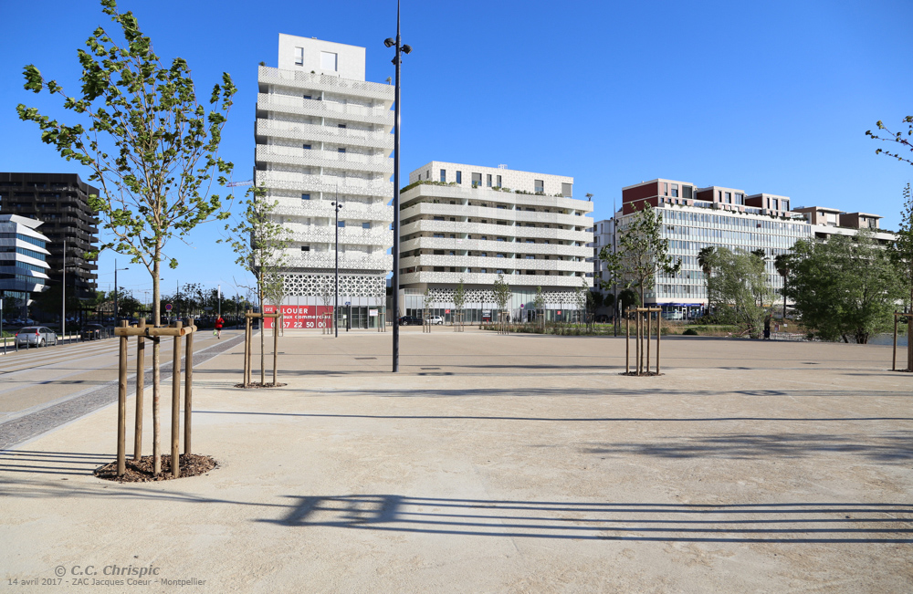 http://www.chrispics.fr/montpelliersepties/chmon13859.jpg