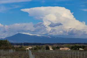 Balade rhodanienne les 30 et 31 mars 2018
