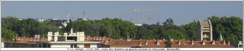 Grues des chantiers  Lironde - Cliquez pour avoir la photo  sa taille relle.