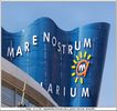 Aquarium Mare Nostrum achevé - Cliquez pour avoir la photo à sa taille réelle.