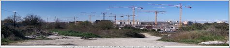 Grues, grues et grues - Cliquez pour avoir la photo  sa taille relle.