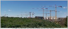 Grues - Cliquez pour avoir la photo  sa taille relle.