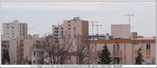 Grues - Cliquez pour avoir la photo  sa taille relle.