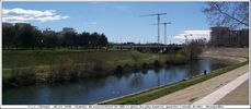 Grues - Cliquez pour avoir la photo  sa taille relle.