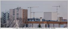 Grues - Cliquez pour avoir la photo  sa taille relle.