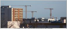 Grues - Cliquez pour avoir la photo  sa taille relle.