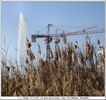 Des grues et la nature... - Cliquez pour avoir la photo  sa taille relle.