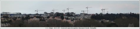 Grues de Lironde et Odysseum - Cliquez pour avoir la photo  sa taille relle.