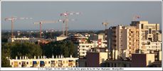 Vue sur les grues - Cliquez pour avoir la photo  sa taille relle.