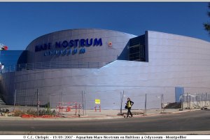 Aquarium Mare Nostrum