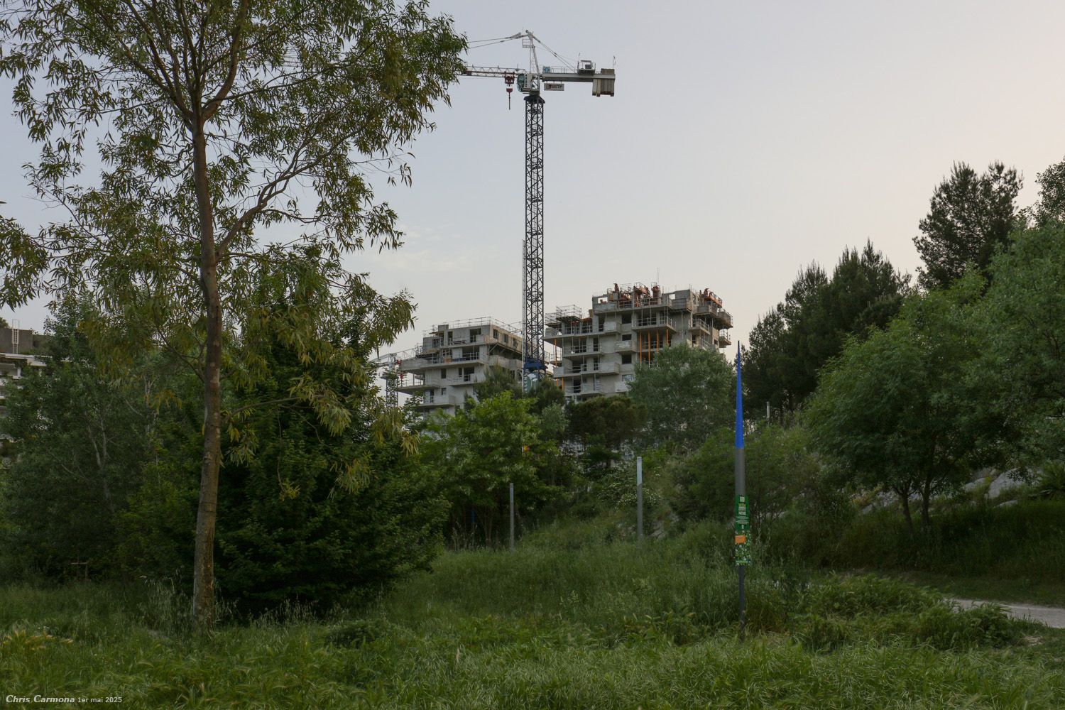 https://www.chrispics.fr/montpelliernonies/chmon20190.jpg