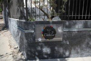 Le Dahlia